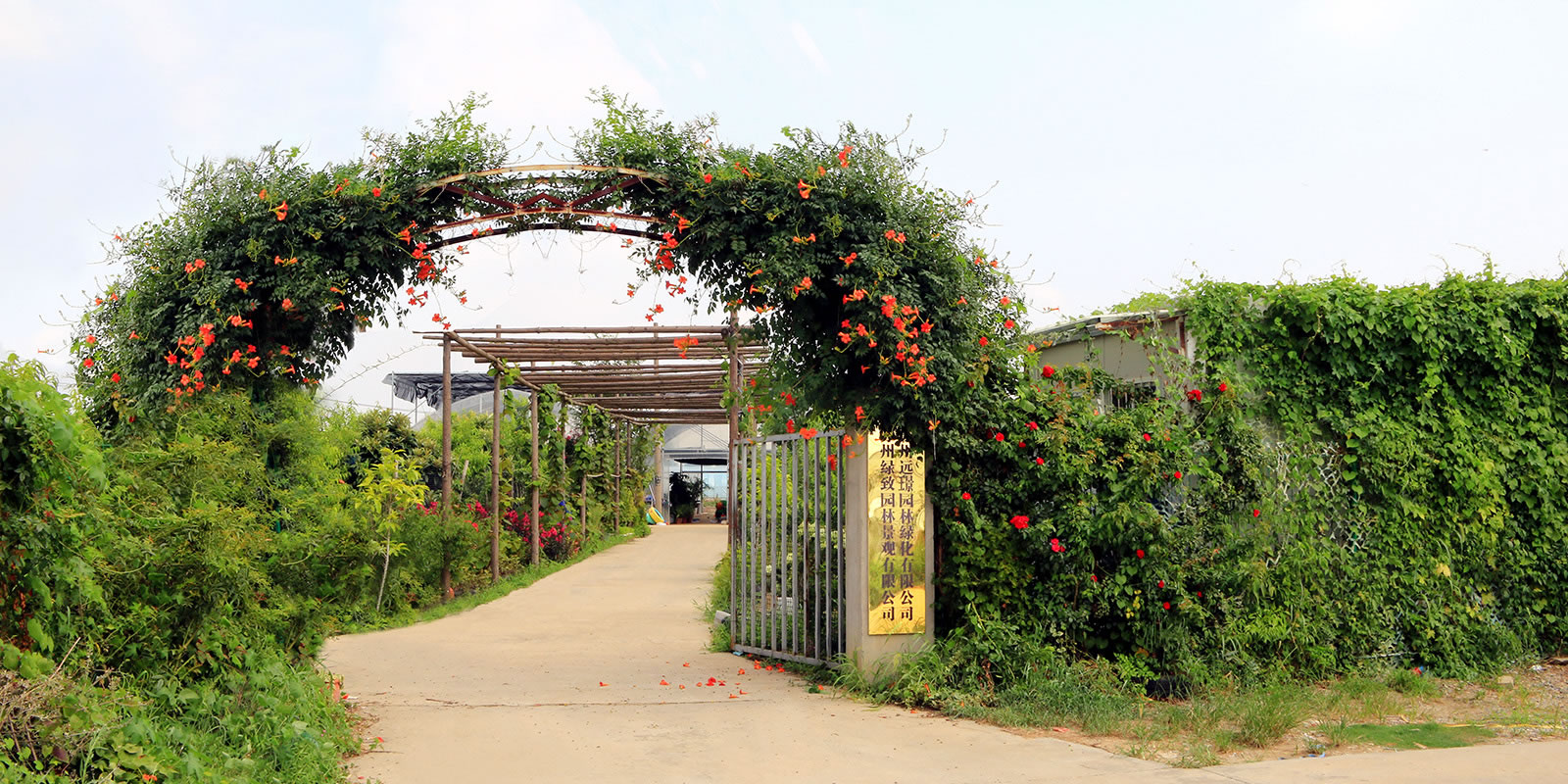 1658817787557859.jpg 1.jpg