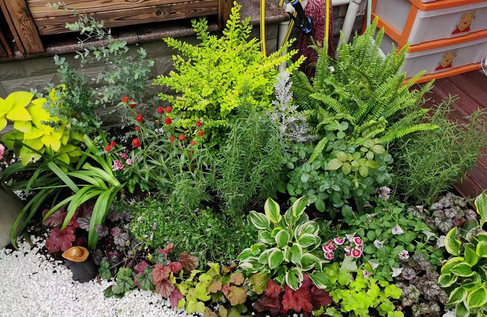 花鏡設計與施工