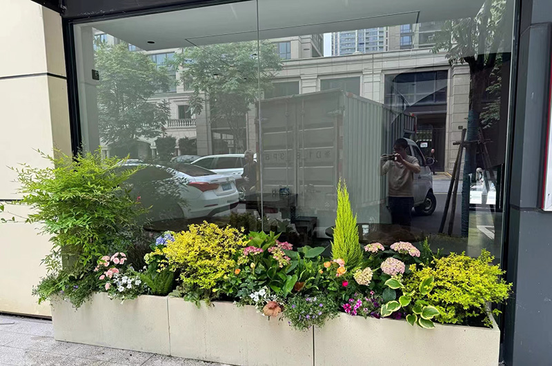 花鏡植物設計與施工