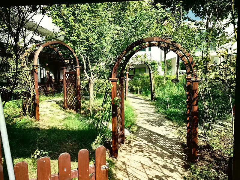 斜塘學(xué)校百草園安裝拱門花架